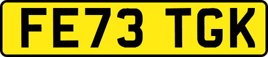 FE73TGK