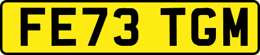 FE73TGM
