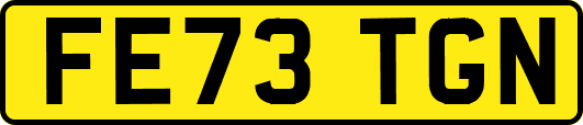 FE73TGN