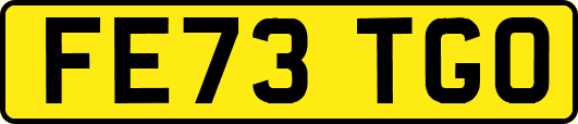 FE73TGO