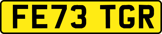 FE73TGR