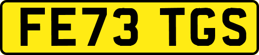 FE73TGS