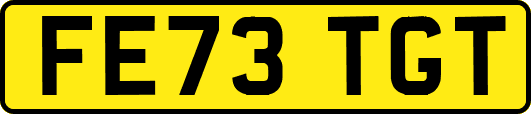FE73TGT