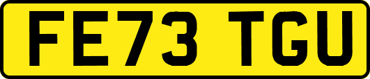 FE73TGU