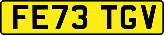 FE73TGV