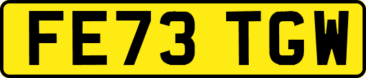 FE73TGW