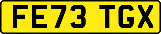 FE73TGX