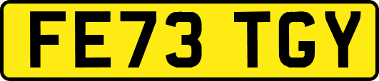 FE73TGY