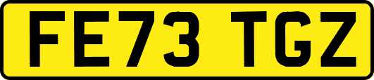 FE73TGZ