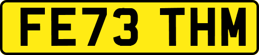 FE73THM