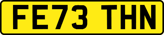 FE73THN