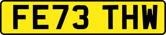 FE73THW