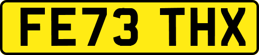 FE73THX