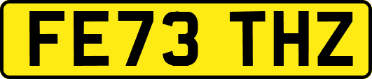 FE73THZ