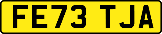 FE73TJA