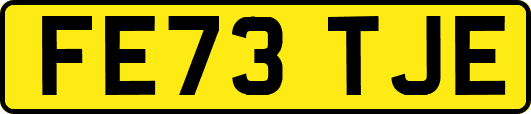 FE73TJE