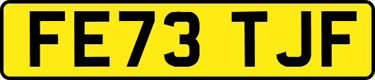 FE73TJF