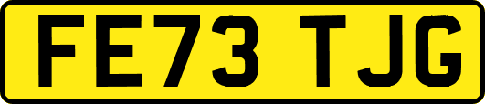 FE73TJG