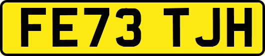 FE73TJH