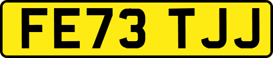 FE73TJJ