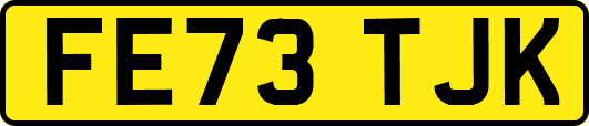 FE73TJK