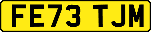 FE73TJM
