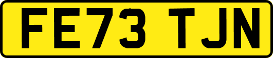 FE73TJN