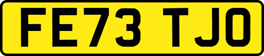 FE73TJO