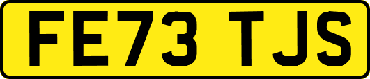 FE73TJS