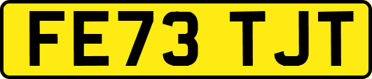 FE73TJT