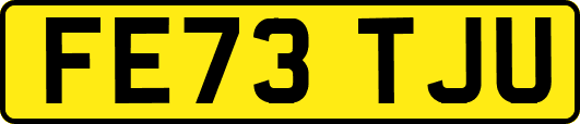 FE73TJU