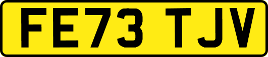 FE73TJV