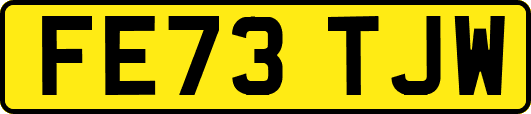 FE73TJW