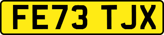 FE73TJX