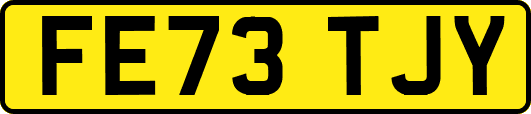 FE73TJY