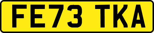 FE73TKA