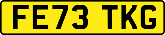 FE73TKG