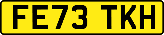 FE73TKH