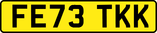 FE73TKK