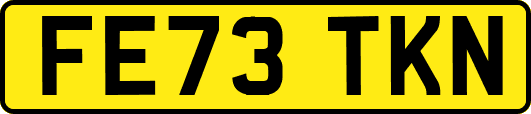 FE73TKN
