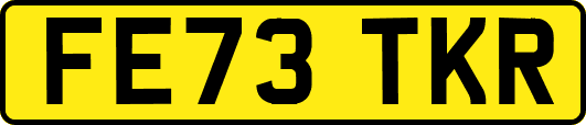 FE73TKR