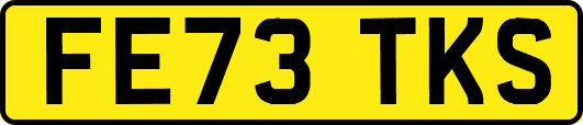 FE73TKS