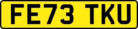 FE73TKU