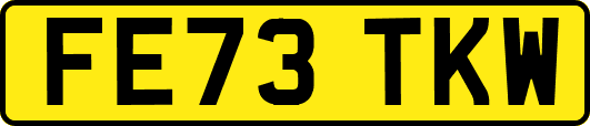 FE73TKW