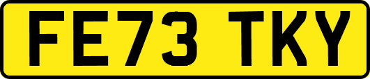FE73TKY
