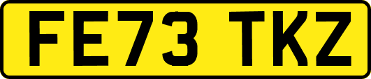 FE73TKZ