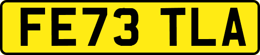 FE73TLA