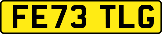 FE73TLG