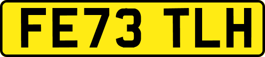 FE73TLH