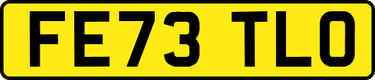 FE73TLO